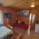 Apartment Haus Zink Bad Mitterndorf